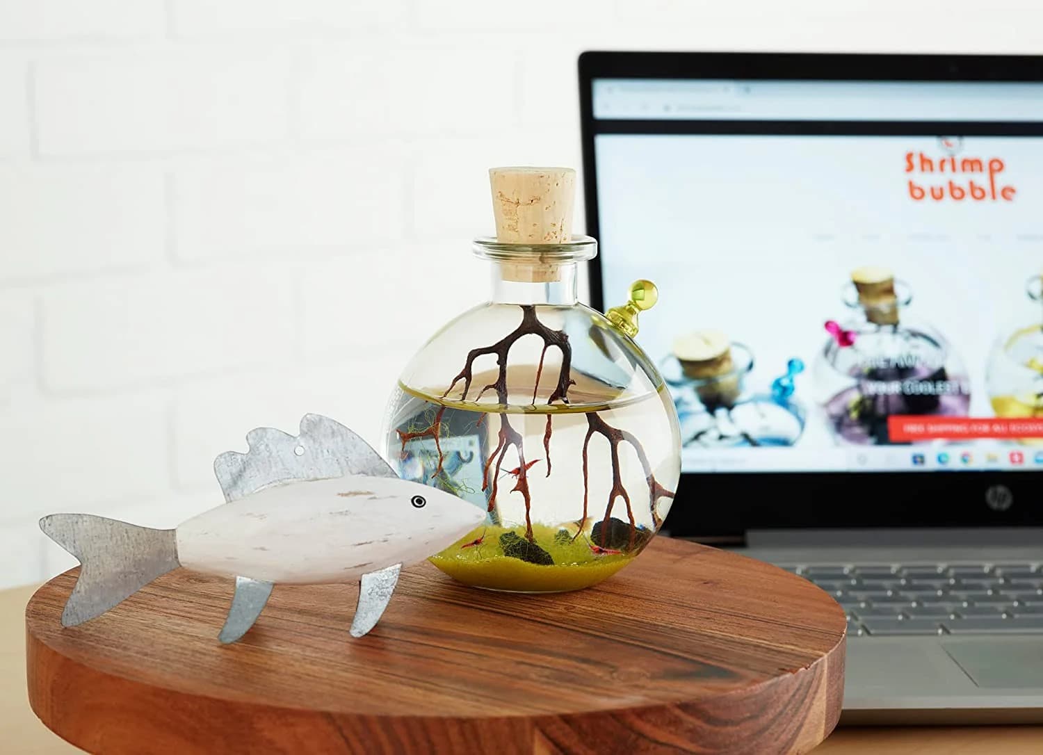 Shrimp Ecosphere Tips for Thriving and Sustainable Shrimp Habitats